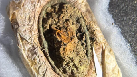 Textile fragments preserved in a Viking woman’s grave at Skonager, Denmark