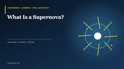 Expanding supernova remnant surrounding a compact stellar remnant