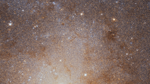 The Triangulum Galaxy captured by the Hubble Space Telescope, showing millions of stars