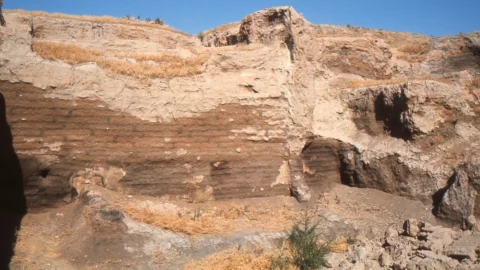 Exposed walls and layered deposits in the Çatalhöyük excavation area