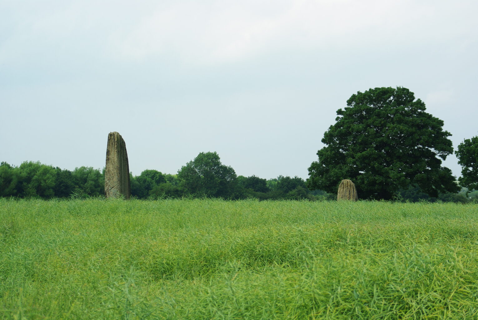 Two of the Devil’s Arrows standing stones in a field at Boroughbridge, North Yorkshire.