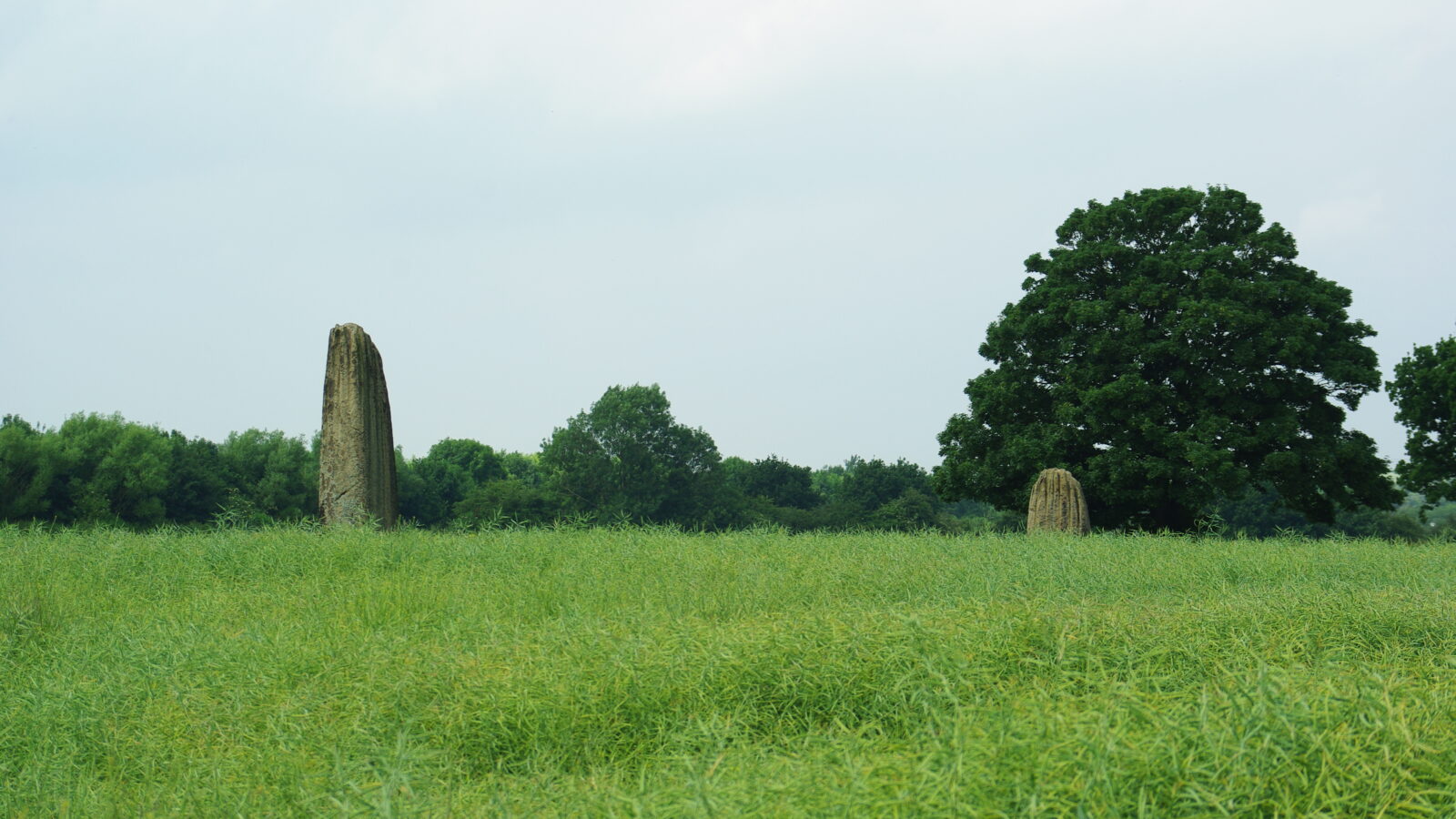 Two of the Devil’s Arrows standing stones in a field at Boroughbridge, North Yorkshire.