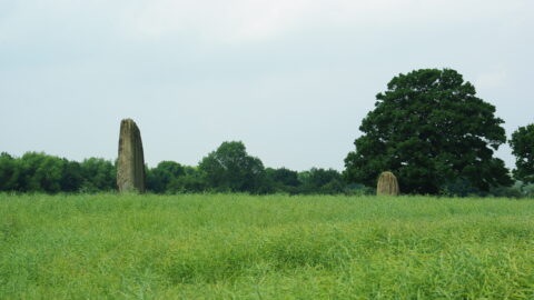 Two of the Devil’s Arrows standing stones in a field at Boroughbridge, North Yorkshire.