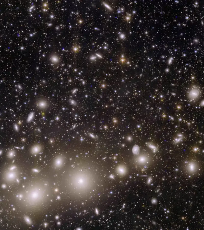 Euclid view of the Perseus galaxy cluster, with bright elliptical galaxies and numerous smaller background galaxies.