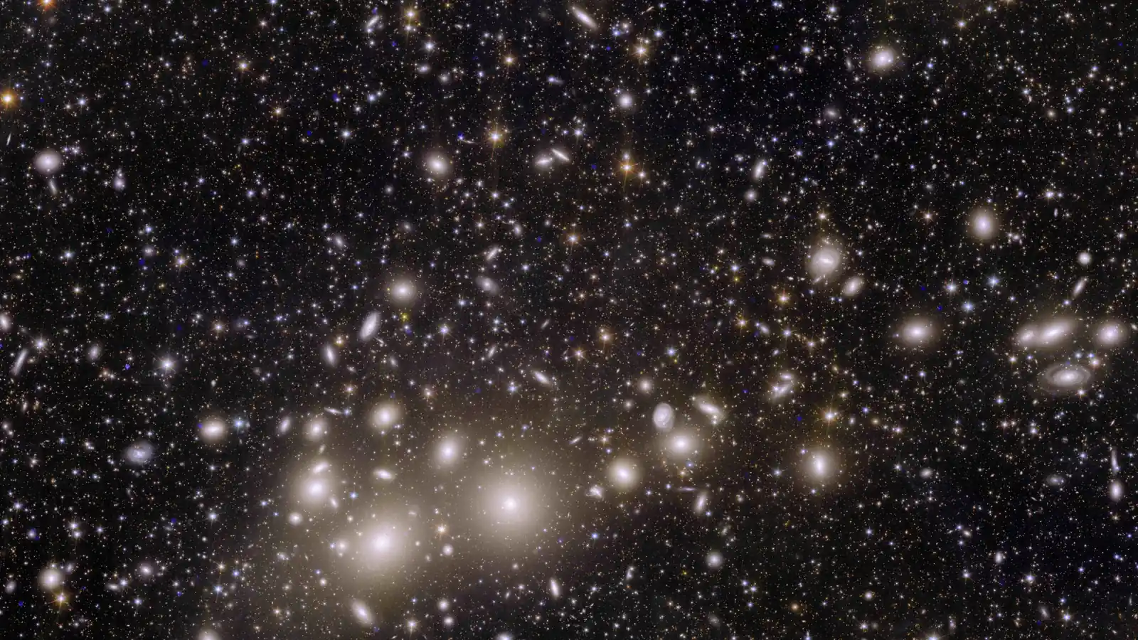 Euclid view of the Perseus galaxy cluster, with bright elliptical galaxies and numerous smaller background galaxies.