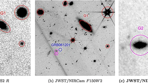 JWST and VLT views of the candidate host galaxy near GRB 061201