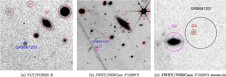 JWST and VLT views of the candidate host galaxy near GRB 061201