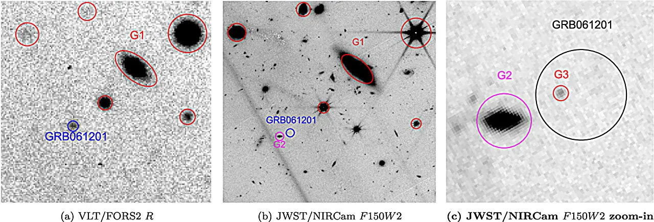 JWST and VLT views of the candidate host galaxy near GRB 061201