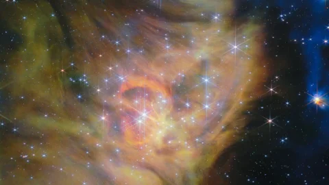 James Webb image of the IC 348 star-forming region, where astronomers found extremely low-mass brown dwarfs