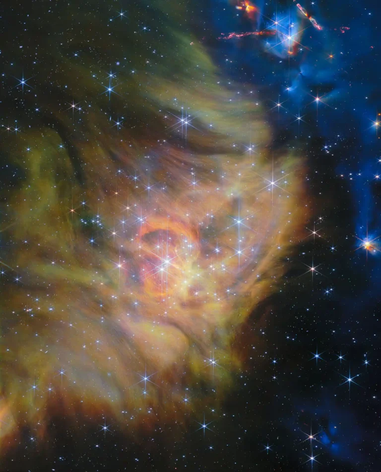 James Webb image of the IC 348 star-forming region, where astronomers found extremely low-mass brown dwarfs