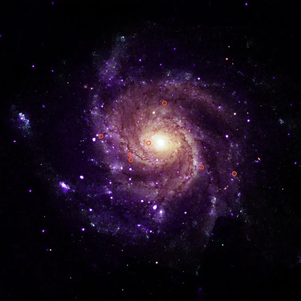 M101, the Pinwheel Galaxy, with seven hypersoft X-ray sources marked in orange
