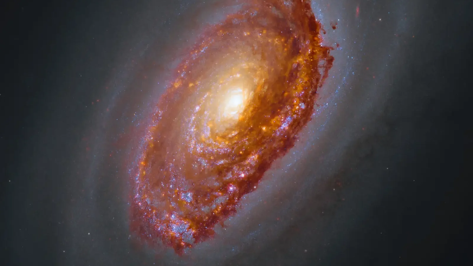 Messier 64, the Black Eye Galaxy, with Webb infrared light revealing dusty star-forming regions and the dark band across its core