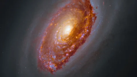 Messier 64, the Black Eye Galaxy, with Webb infrared light revealing dusty star-forming regions and the dark band across its core