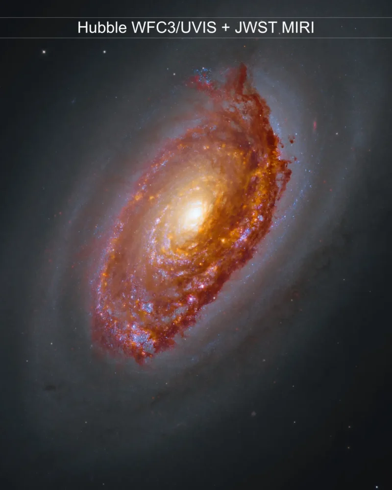 Messier 64, the Black Eye Galaxy, with Webb infrared light revealing dusty star-forming regions and the dark band across its core