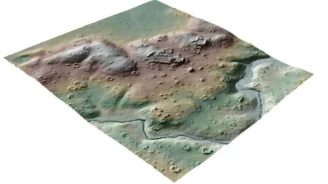LiDAR profile showing trees growing over ancient Maya structures in Belize
