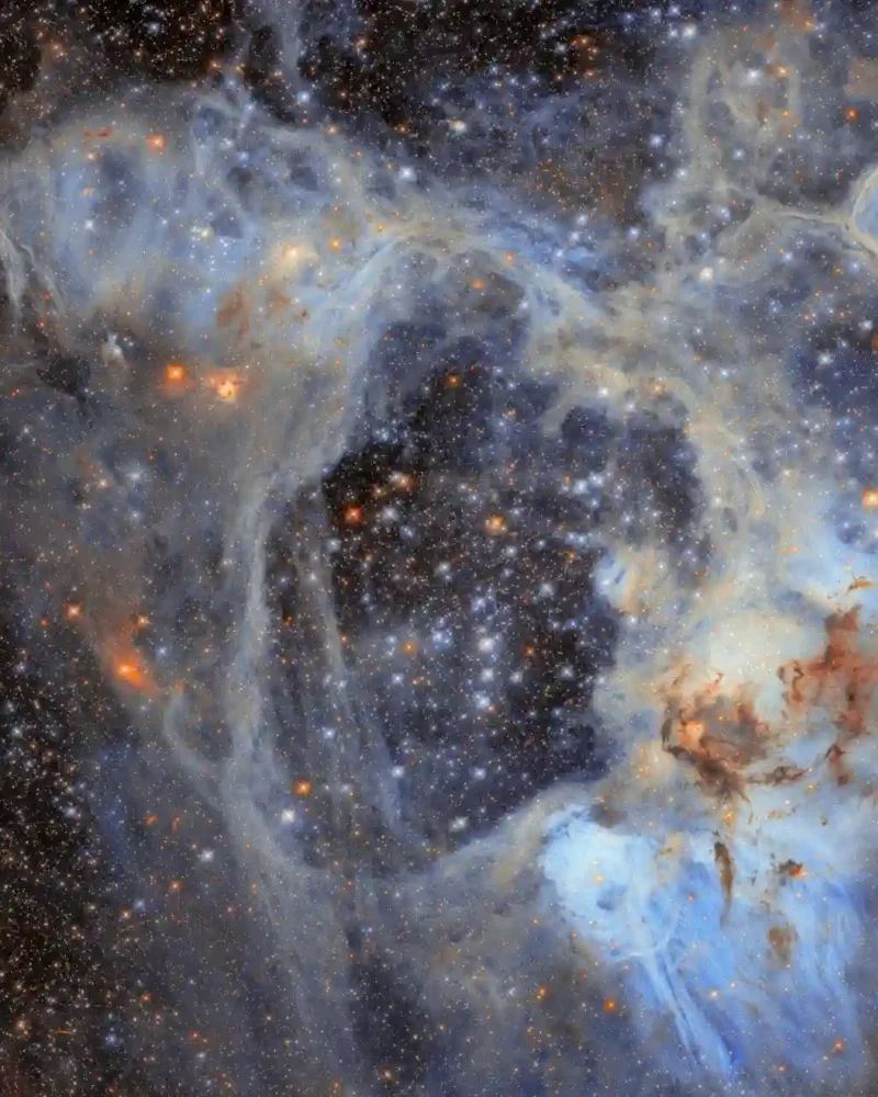 Hubble view of N44, with a dark central cavity surrounded by pale clouds and crowded stars.