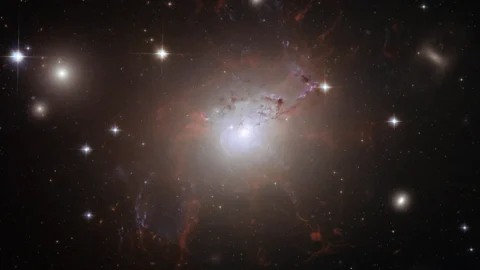 Hubble view of active galaxy NGC 1275 in the Perseus Cluster