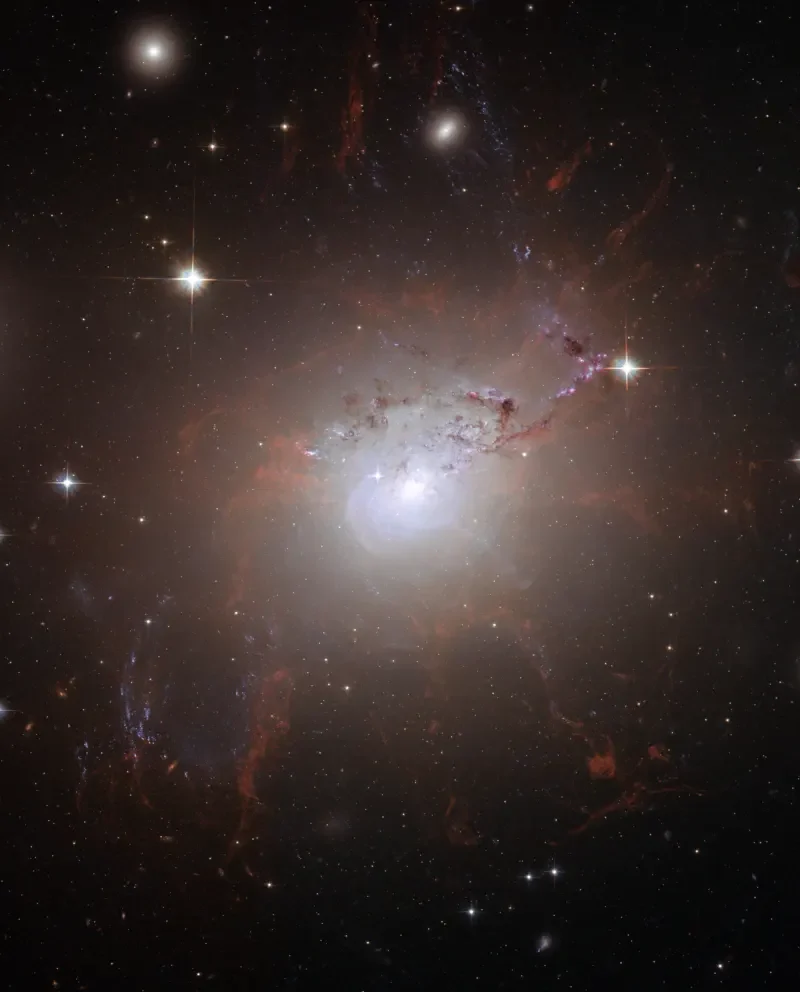 Hubble view of active galaxy NGC 1275 in the Perseus Cluster