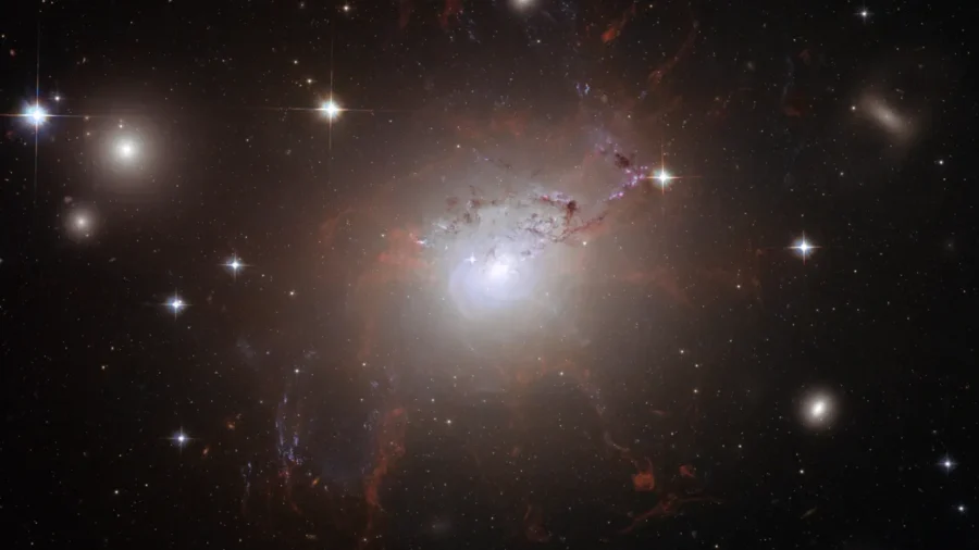 Hubble view of active galaxy NGC 1275 in the Perseus Cluster