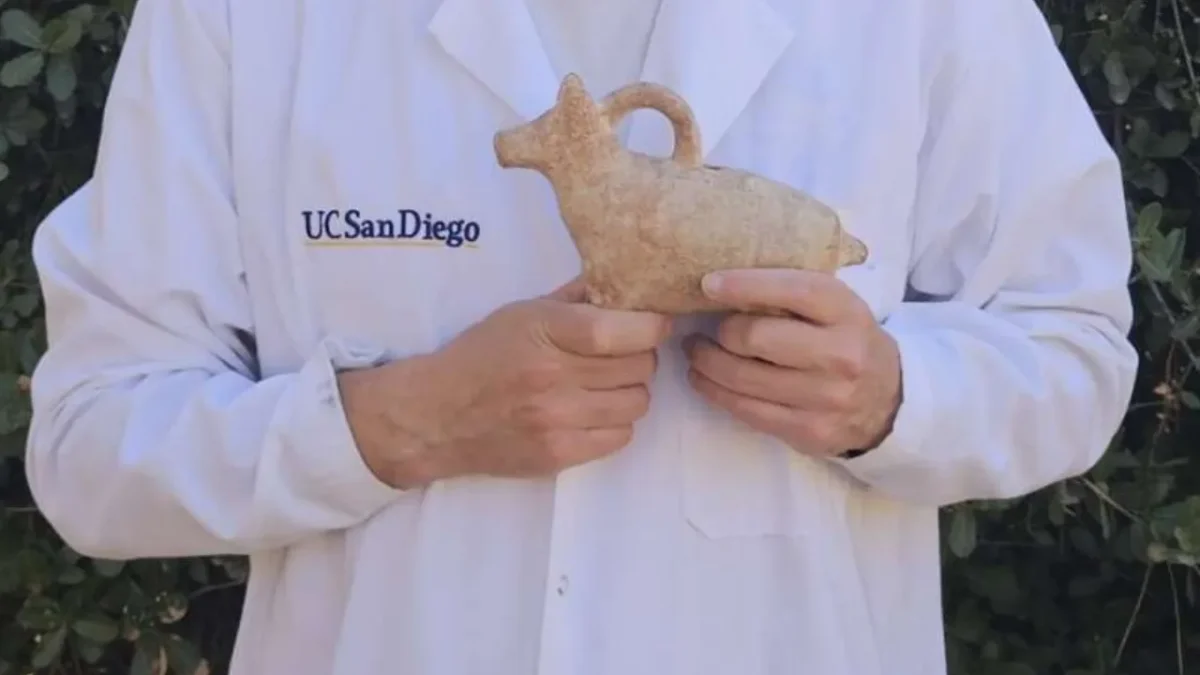Researcher testing an archaeological figurine in a thermal demagnetizer