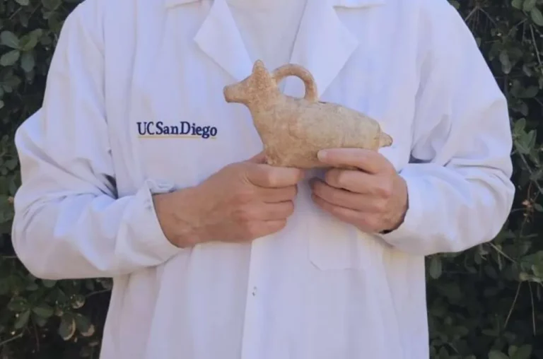 Researcher testing an archaeological figurine in a thermal demagnetizer