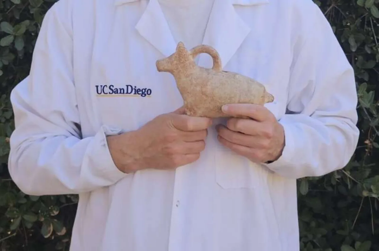 Researcher testing an archaeological figurine in a thermal demagnetizer