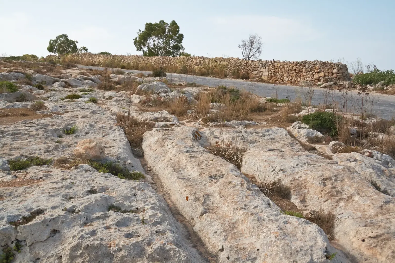 Parallel cart ruts crossing exposed limestone near Dingli in Malta