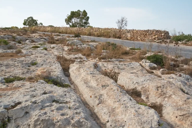 Parallel cart ruts crossing exposed limestone near Dingli in Malta