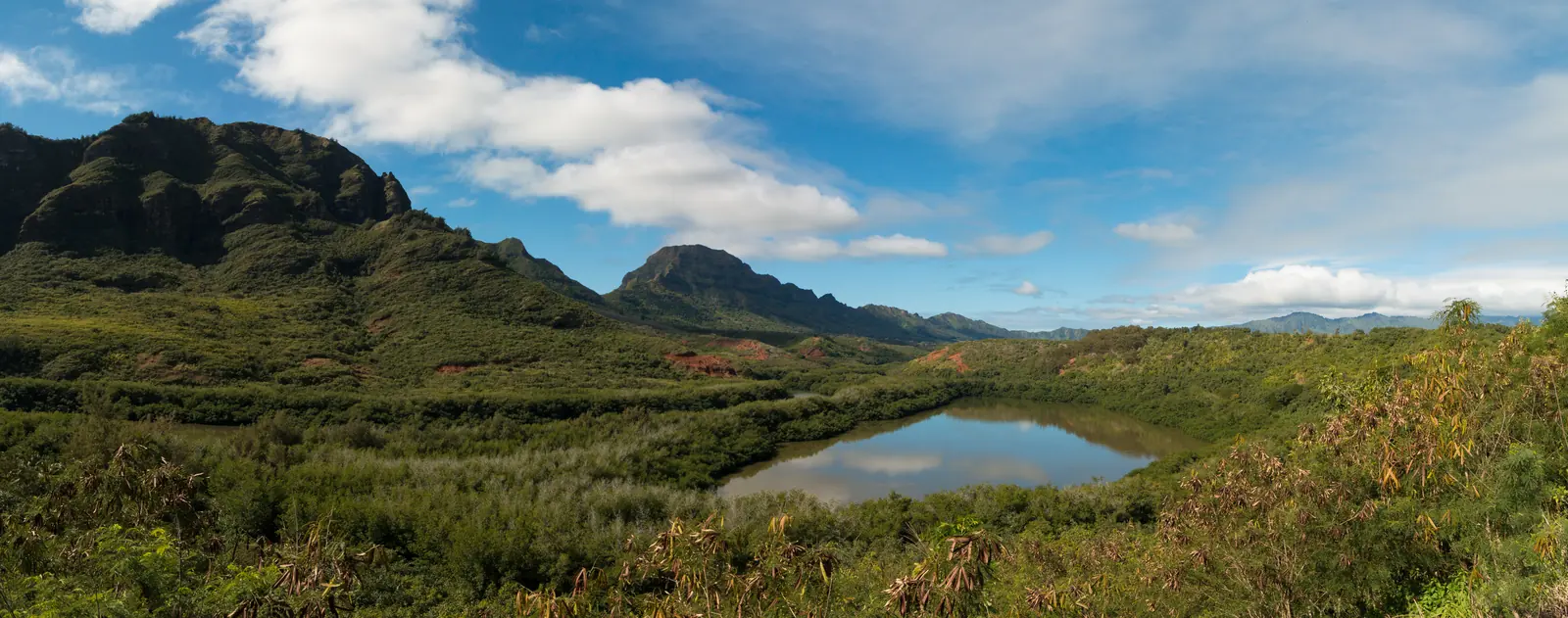 Alakoko fishpond, surrounded by dense vegetation below the mountains of Kauaʻi in 2018.